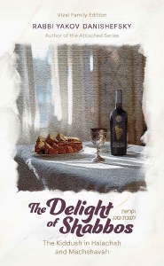 Picture of The Delight of Shabbos [Hardcover]